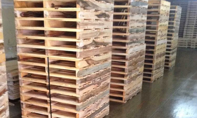 Stacked wooden pallets in the Thayer yard